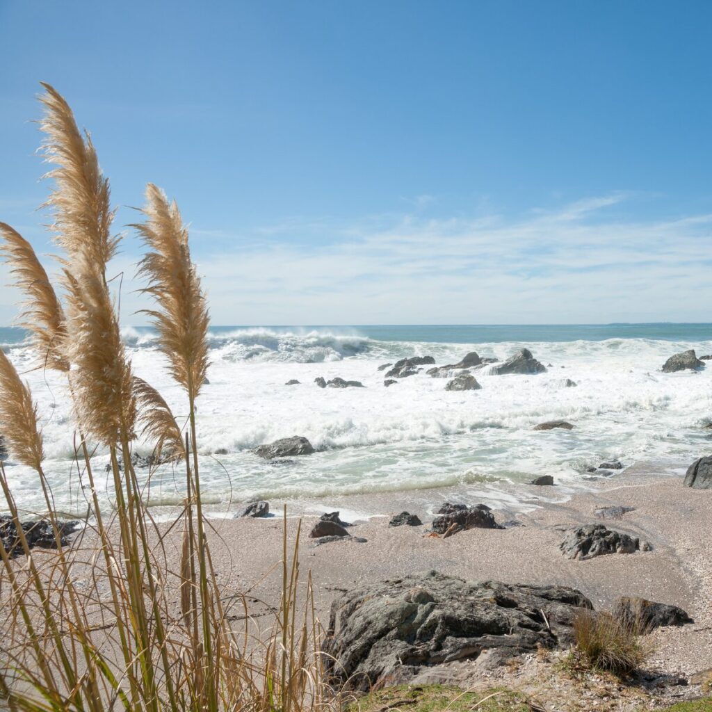 Coastal-inspired wall art with beachy tones in a relaxed living space.